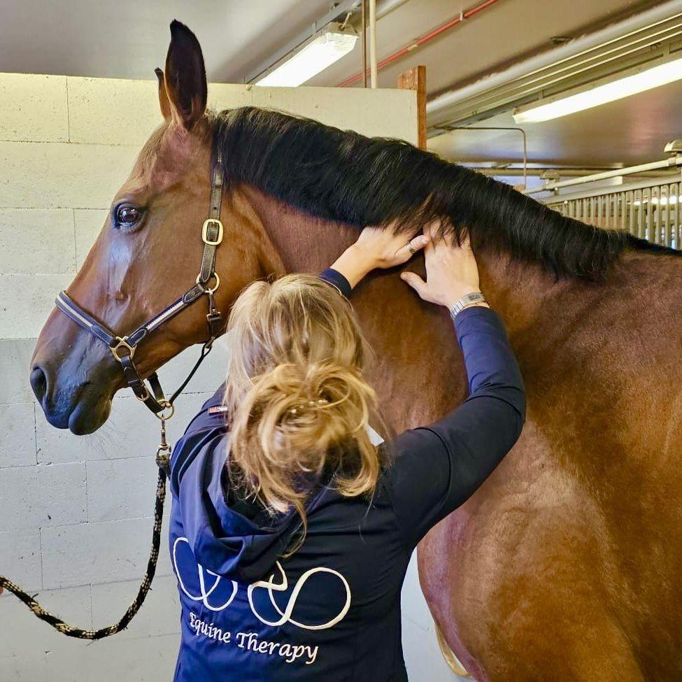 Faskiakäsittely eli MRT Terapia